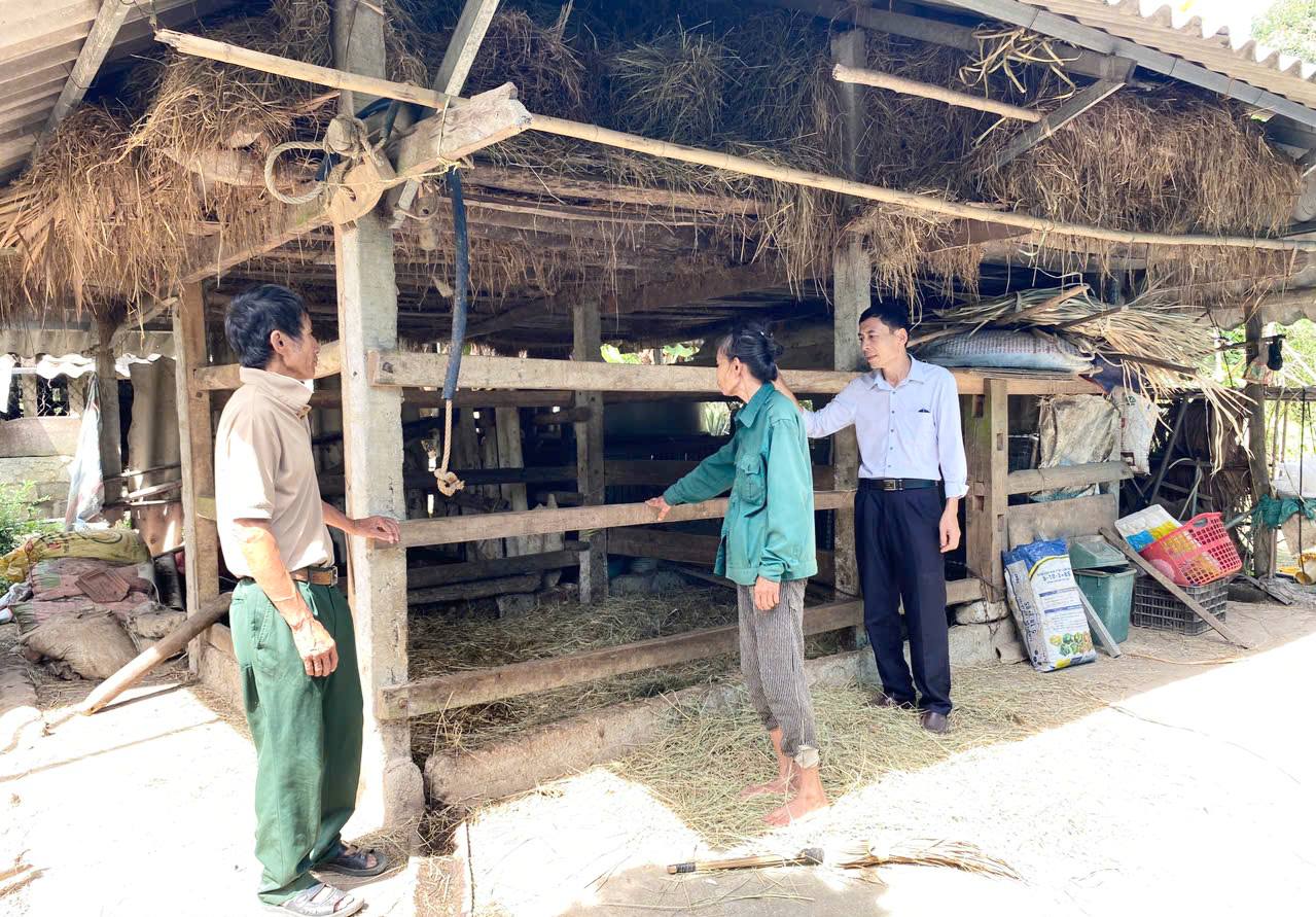 Xã Kim Hoa: Kiểm tra các hộ đăng ký mô hình chăn nuôi bò nái sinh sản