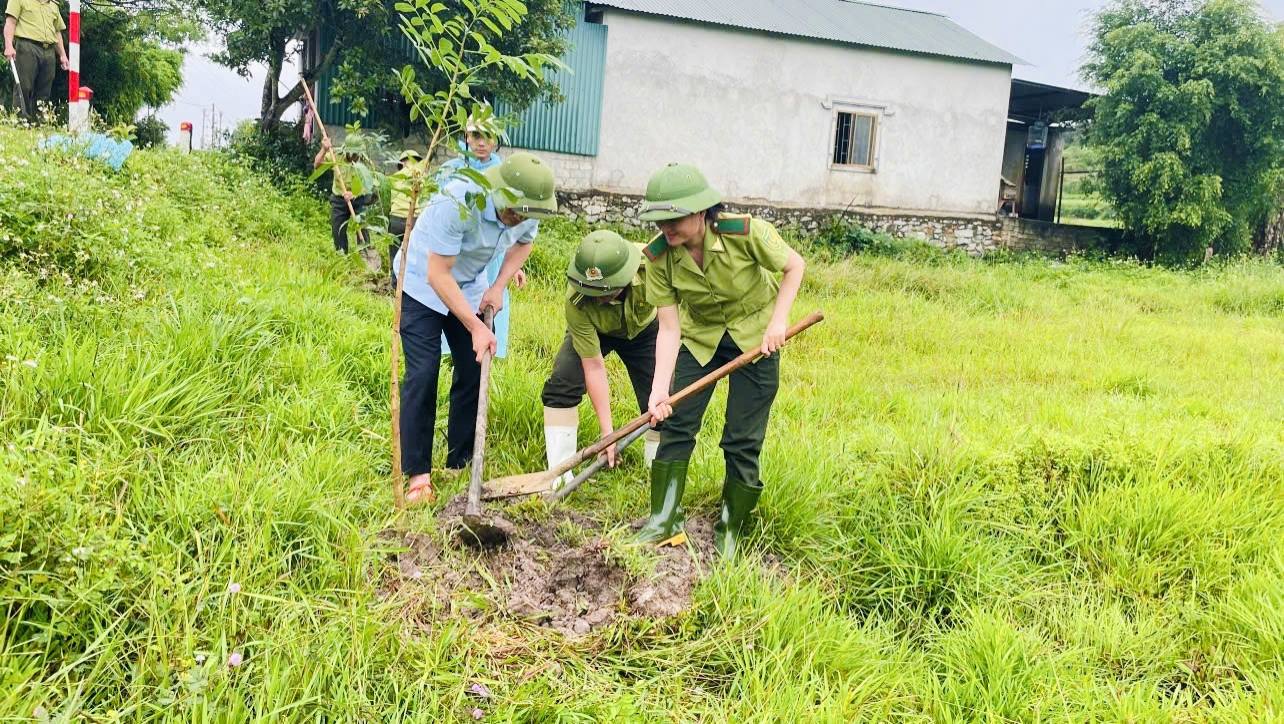Kim Hoa trồng trên 100 cây bóng mát