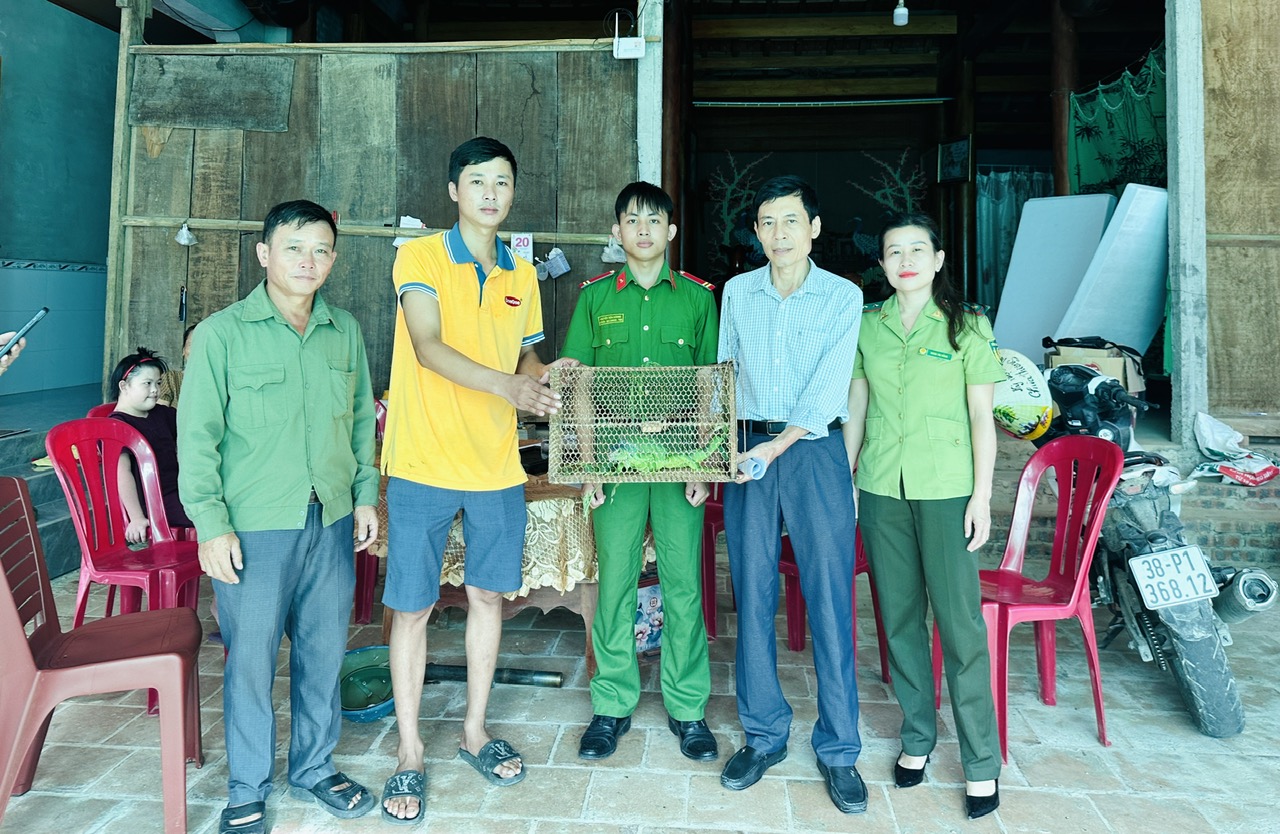 Bàn giao cá thể Kỳ Nhông về môi trường tự nhiên 