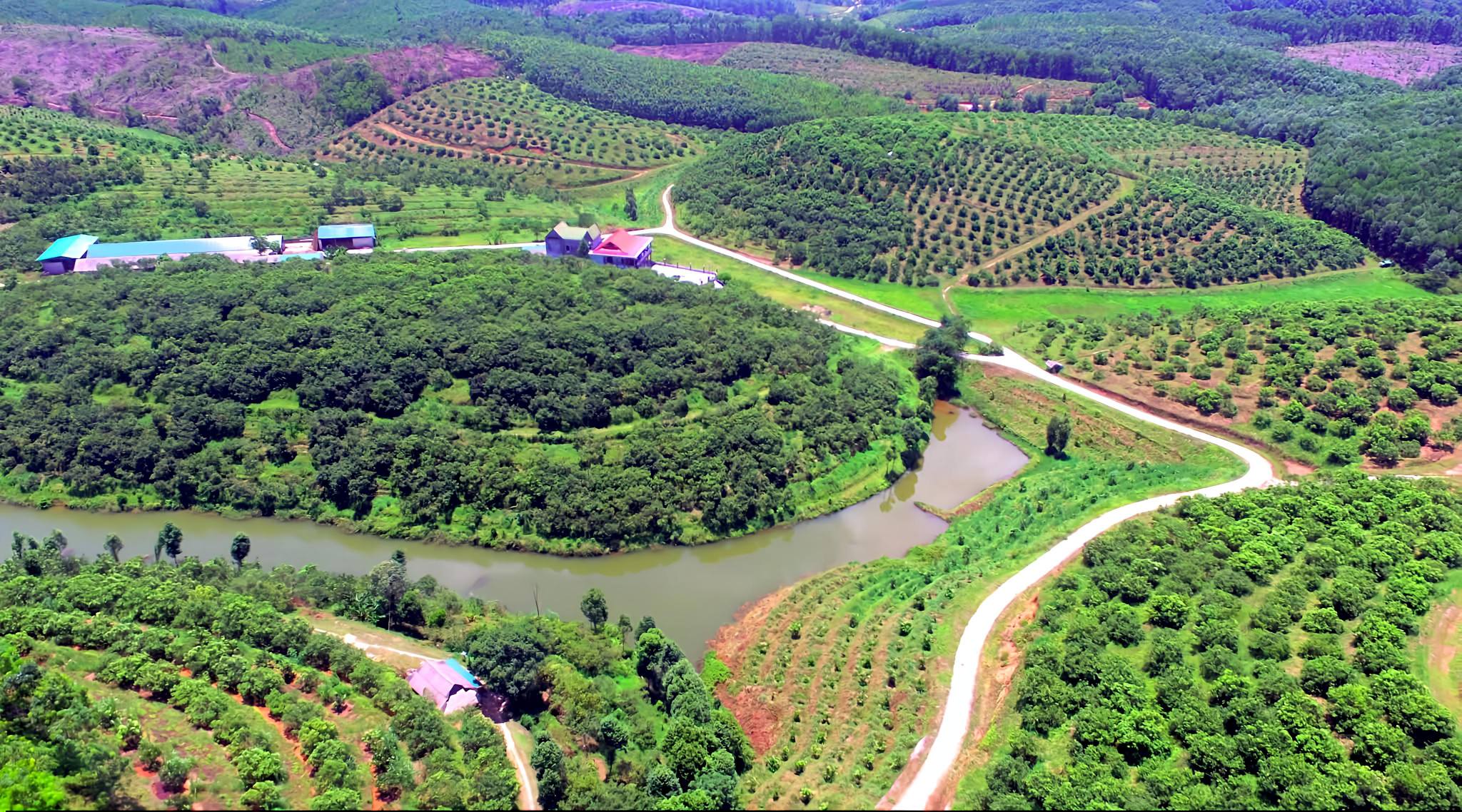 Chủ động chống hạn cho cây ăn quả