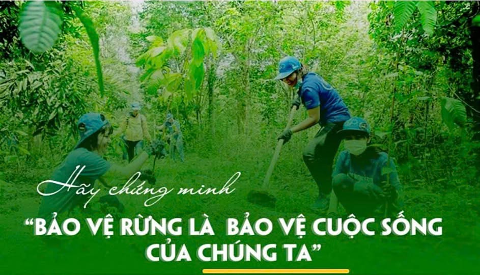 Các biện pháp Phòng chống cháy rừng