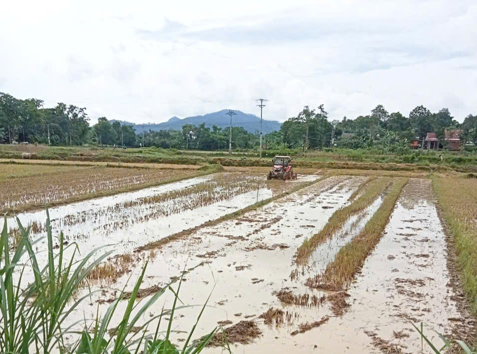 Kim Hoa đẩy nhanh tiến độ sản xuất Hè Thu