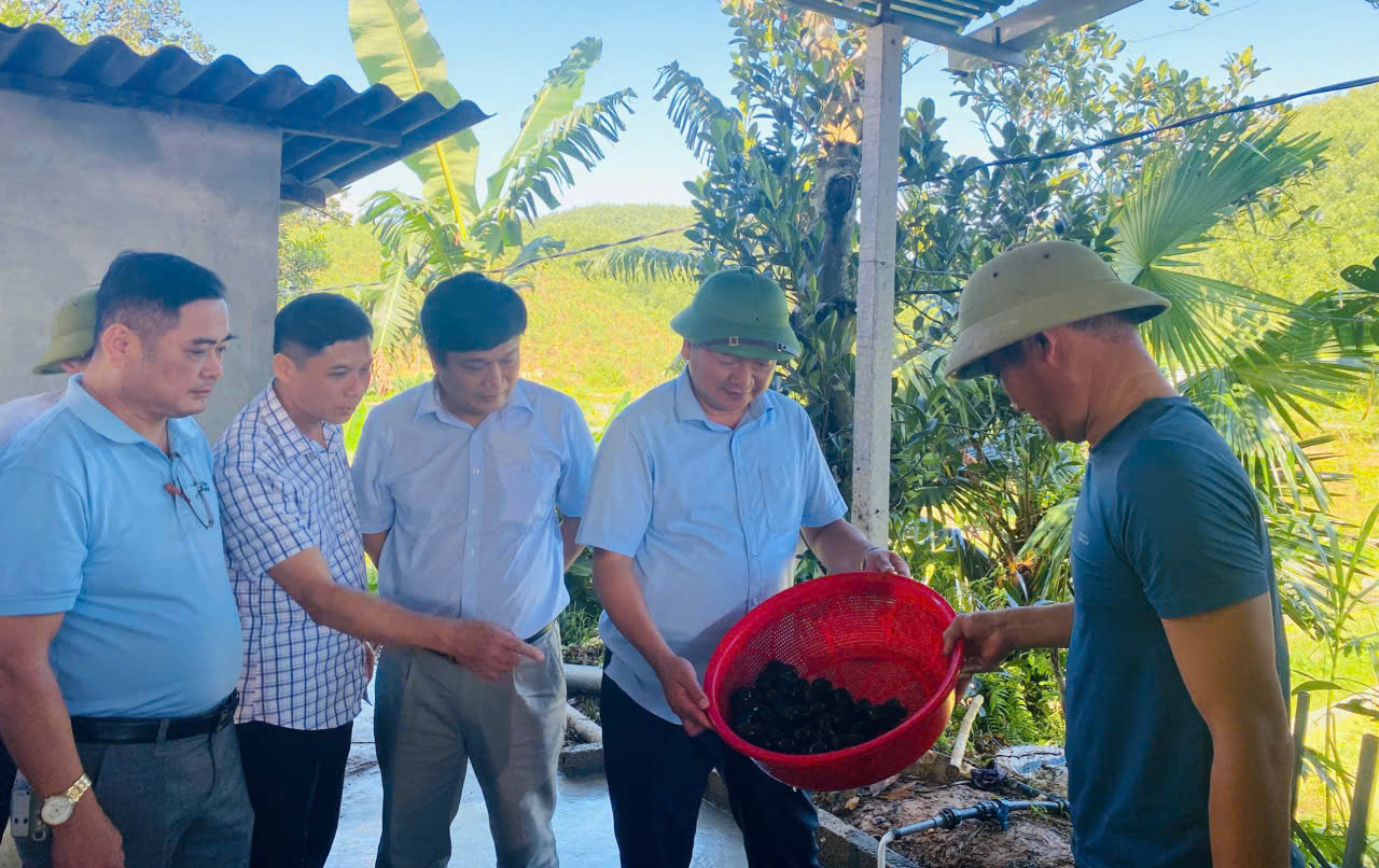 Phó chủ tịch UBND tỉnh Hồ Huy Thành kiểm tra mô hình tại xã Kim Hoa
