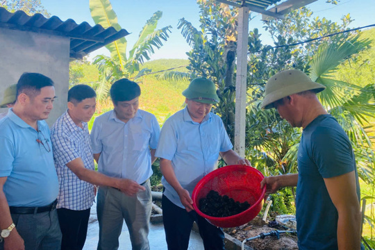 Phó chủ tịch UBND tỉnh Hồ Huy Thành kiểm tra mô hình tại xã Kim Hoa 